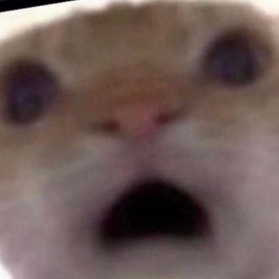 h3l0_k1tty's profile picture. 20