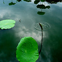 Gary Redden - @GaryRedden1 - Twitter