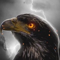 Crypto Monkey | Radiant Reflections NFT (@monkey23390) 's Twitter Profile