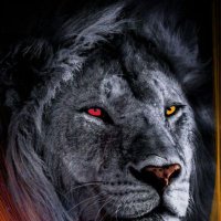 Bekir (@cinconlu48) 's Twitter Profile Photo Bekir (@cinconlu48) 's Twitter Profile Photo