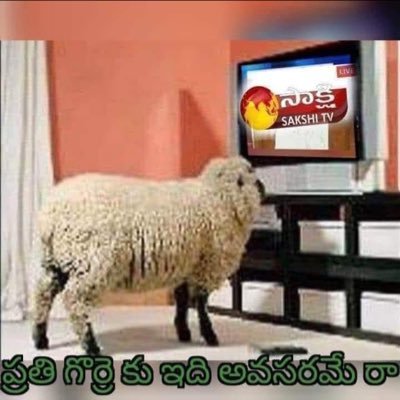 sree_party's profile picture. Save water 💧