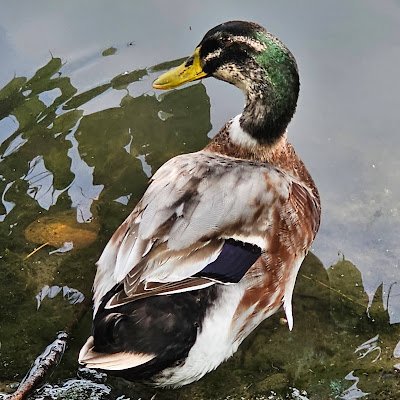 DrSanto47975950's profile picture. 