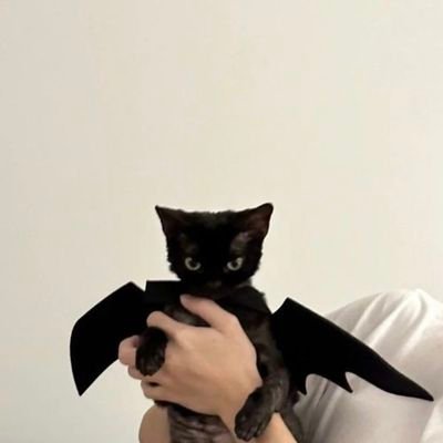 imnotthatone33's profile picture. 