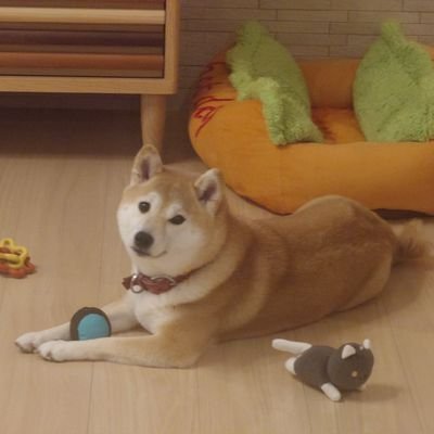 osa6188's profile picture. 