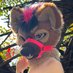 North 🔜 FWA (@northhyenaad) Twitter profile photo North 🔜 FWA (@northhyenaad) Twitter profile photo