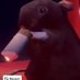 𝚠𝚊𝚕𝚔𝚎𝚛 (@willyjameshuff_) Twitter profile photo 𝚠𝚊𝚕𝚔𝚎𝚛 (@willyjameshuff_) Twitter profile photo