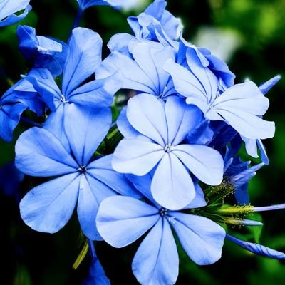 投稿はマイペース
何気ない瞬間の写真が好き♡
大切な事は心の中
今日も今日とて𝑻𝒉𝒂𝒏𝒌 𝒚𝒐𝒖