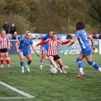 Libbi Mcinnes (@libbimcinnes) 's Twitter Profile