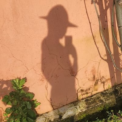 muhammadbaffa15's profile picture. I sow and reap, through joy and strife,
Sickle cell🧬 won't keep me from farming life.