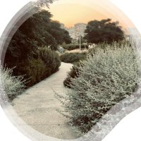 Hilos Valdebebas (@hilosvaldebebas) 's Twitter Profile Photo Hilos Valdebebas (@hilosvaldebebas) 's Twitter Profile Photo