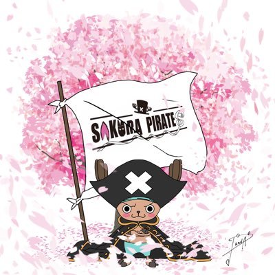 サクラ🌸海賊団🏴‍☠️公式さんのプロフィール画像