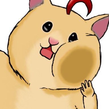 shiraf00さんのプロフィール画像