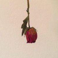 Ambra (@ambra_prg) 's Twitter Profile Photo Ambra (@ambra_prg) 's Twitter Profile Photo