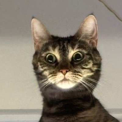 Leesreborn's profile picture. 