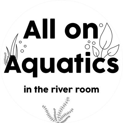 All On Aquatics is a YouTube channel dedicated to all things fish room with a strong emphasis on breeding.