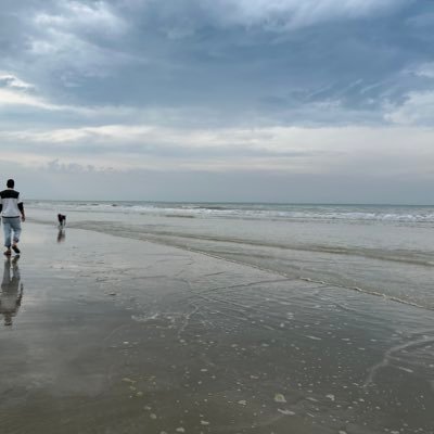 MichaelHallifax's profile picture. 