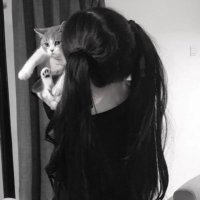 ⚡️Volcano (@volcano85354) 's Twitter Profile
