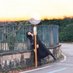 平野 結彩 | hirano yui (@yuimar_photo) Twitter profile photo 平野 結彩 | hirano yui (@yuimar_photo) Twitter profile photo