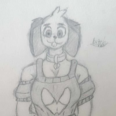 NovaSupeIs's profile picture. 