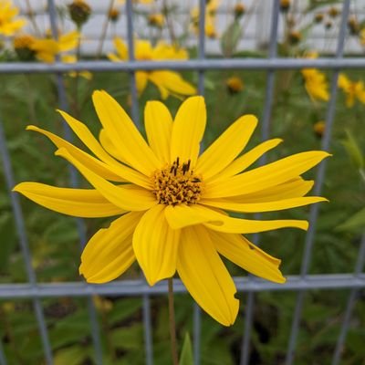 meliora_nyx's profile picture. believes in love and facts.
mother of 5. survivor of narcissistic abuse. expert on emotions. fights conspiracy theories