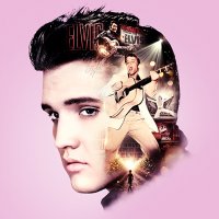 Elvis Evolution (@elvisevolution) 's Twitter Profile