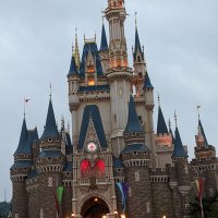 Ｆ♥ (@f4737650794614) 's Twitter Profile Photo