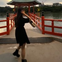 のだはるか【@動画編集&FP2級】 (@noda_desu3) 's Twitter Profile