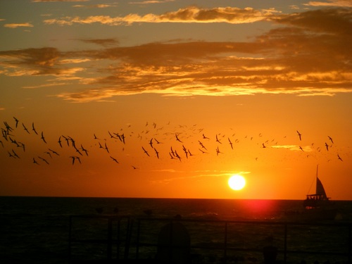 haruekyoshin's profile picture. 