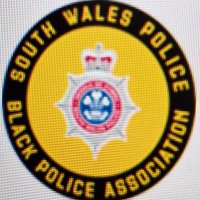 South Wales BPA (@swpbpa) Twitter profile photo