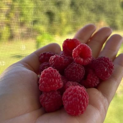 ANNIESLYNN's profile picture. Disability advocate | Passionate about accessibility and inclusion | Living life to the fullest |Working on I WEB3 Decentralization and Blockchain in E-commerc