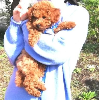 ご覧頂き、ありがとうございます😊
2児の母+ワンコ🐾
🎹音楽教室✨主催
https://t.co/pVKMyDEjfh
🎶https://t.co/FA6iysSLqU