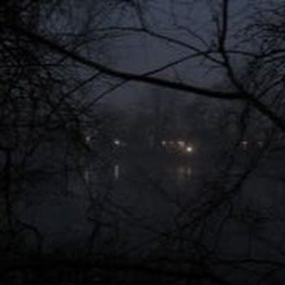 nxrion97967's profile picture. 