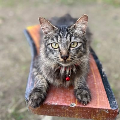 elyahnza's profile picture. 