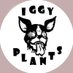 iggy (@iggy1107) Twitter profile photo iggy (@iggy1107) Twitter profile photo