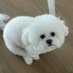 y yy yy yy (@boo521_) Twitter profile photo y yy yy yy (@boo521_) Twitter profile photo