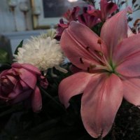 И (@noufabda) Twitter profile photo