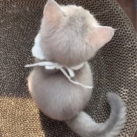 y (@yi_xxy_) Twitter profile photo