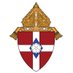 Diocese of Winona-Rochester (@winonarochester) Twitter profile photo Diocese of Winona-Rochester (@winonarochester) Twitter profile photo