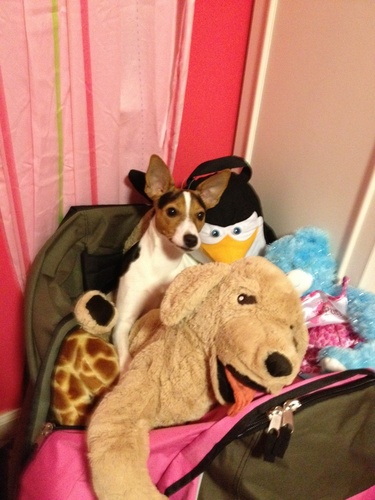 RISAGA2007's profile picture. 