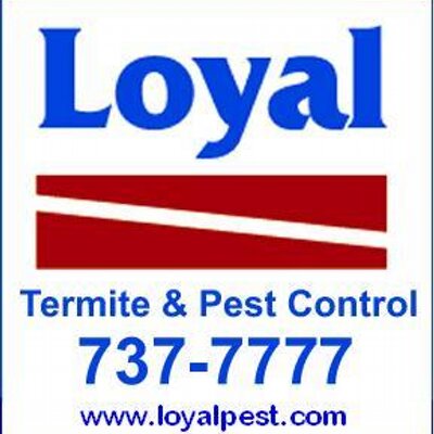 Loyal Termite Pest Control Loyalpest Twitter