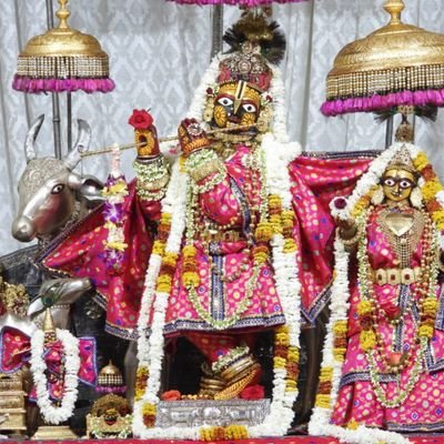 DBageena's profile picture. में आपके लिए  वो ही हूं जो आपने अपने विवेक के हिसाब से सोचा।