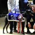 Bonville Racing Kennels (@bonvilleracing) Twitter profile photo Bonville Racing Kennels (@bonvilleracing) Twitter profile photo