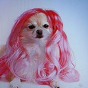 Brandi Rivera - @BrandiRivera1 - Twitter