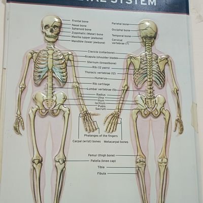 itss_aditya's profile picture. 