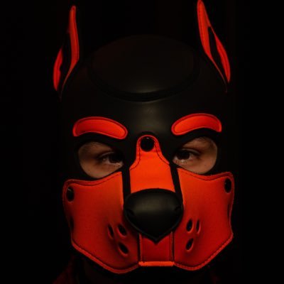 🔞🇨🇦 22yo / DM open / love furries and puppies / En & Fr / bf @pup_taurus