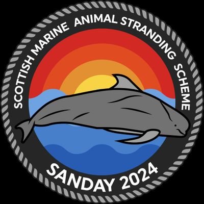 not going to find wisdom here, ever... but - there may well be lotsmany dolphins, also - i like cats... so a lot of cat vids may be re-posted...