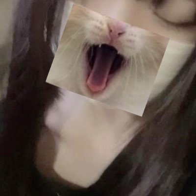 こんにちは、みんな!私は25歳の独身女性で、一人暮らしは寂しいと感じることが多いです。人生を愛し、自立していて自信を持っていますが、同時に暖かさを求めています。彼がすぐに現れることを願っています。