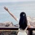 Bellis (@s3oo_ksa) Twitter profile photo Bellis (@s3oo_ksa) Twitter profile photo