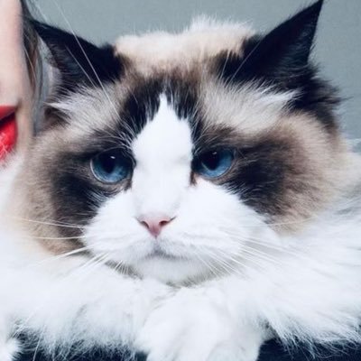 happinesswift13's profile picture. think later ⭐️