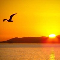 Deepak Sharma (@dee_29oct) 's Twitter Profile